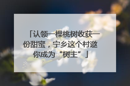 认领一棵桃树收获一份甜蜜，宁乡这个村邀你成为“树主”
