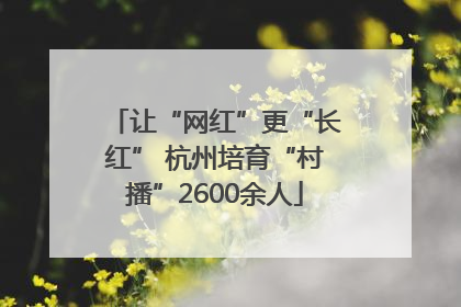 让“网红”更“长红” 杭州培育“村播”2600余人