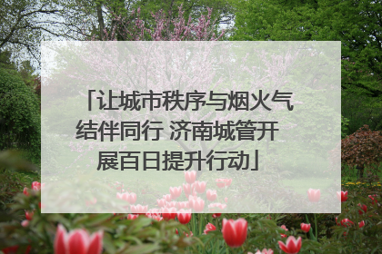 让城市秩序与烟火气结伴同行 济南城管开展百日提升行动