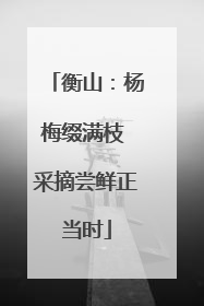 衡山：杨梅缀满枝 采摘尝鲜正当时