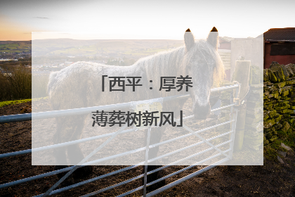 西平：厚养薄葬树新风