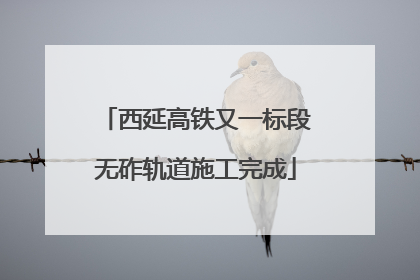 西延高铁又一标段无砟轨道施工完成