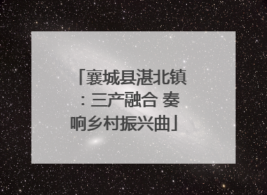 襄城县湛北镇：三产融合 奏响乡村振兴曲