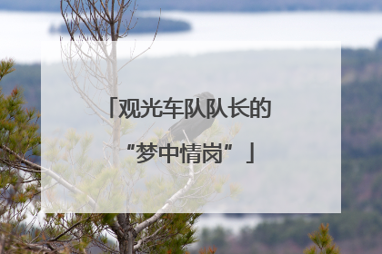 观光车队队长的“梦中情岗”