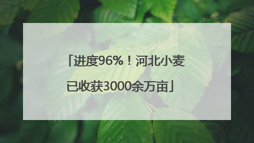 进度96%！河北小麦已收获3000余万亩
