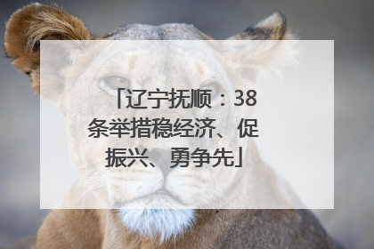 辽宁抚顺：38条举措稳经济、促振兴、勇争先