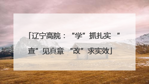 辽宁高院：“学”抓扎实 “查”见真章 “改”求实效
