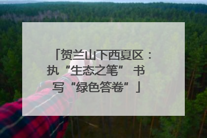 贺兰山下西夏区：执“生态之笔” 书写“绿色答卷”