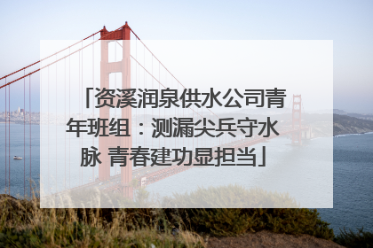 资溪润泉供水公司青年班组：测漏尖兵守水脉 青春建功显担当