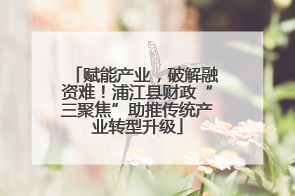赋能产业，破解融资难！浦江县财政“三聚焦”助推传统产业转型升级
