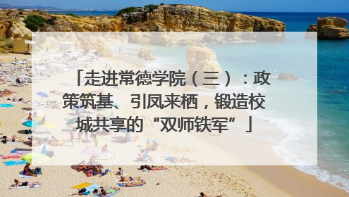 走进常德学院（三）：政策筑基、引凤来栖，锻造校城共享的“双师铁军”