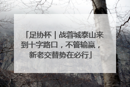 足协杯｜战蓉城泰山来到十字路口，不管输赢，新老交替势在必行