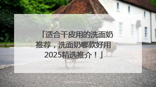 适合干皮用的洗面奶推荐，洗面奶哪款好用2025精选推介！