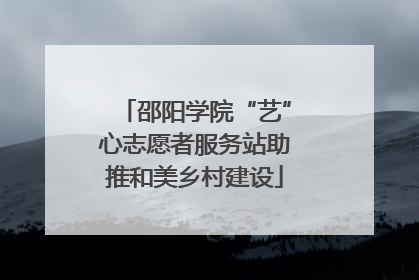 邵阳学院“艺”心志愿者服务站助推和美乡村建设
