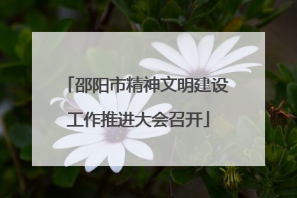 邵阳市精神文明建设工作推进大会召开