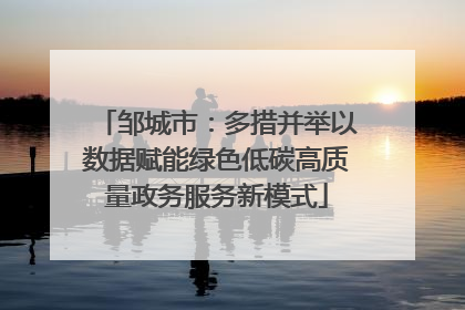 邹城市：多措并举以数据赋能绿色低碳高质量政务服务新模式