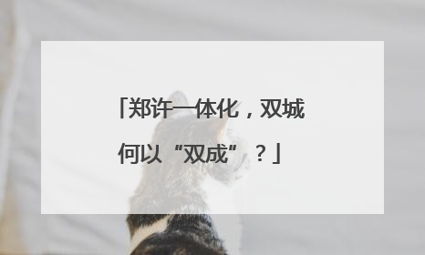 郑许一体化，双城何以“双成”？