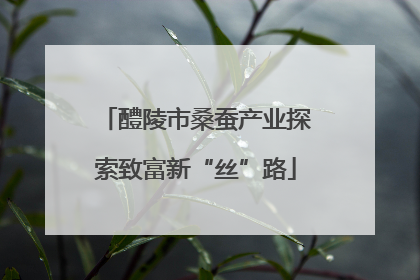 醴陵市桑蚕产业探索致富新“丝”路