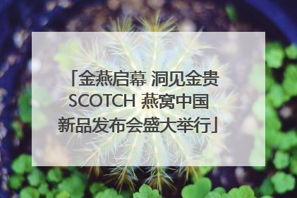 金燕启幕 洞见金贵 SCOTCH 燕窝中国新品发布会盛大举行