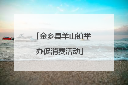 金乡县羊山镇举办促消费活动