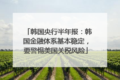 韩国央行半年报：韩国金融体系基本稳定，要警惕美国关税风险