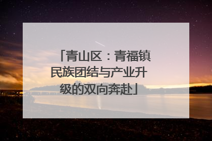 青山区：青福镇民族团结与产业升级的双向奔赴