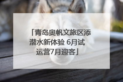青岛奥帆文旅区添潜水新体验 6月试运营7月迎客