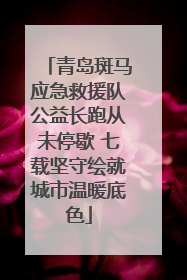 青岛斑马应急救援队公益长跑从未停歇 七载坚守绘就城市温暖底色