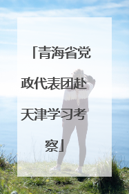 青海省党政代表团赴天津学习考察