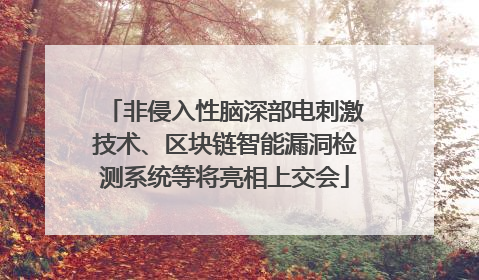 非侵入性脑深部电刺激技术、区块链智能漏洞检测系统等将亮相上交会