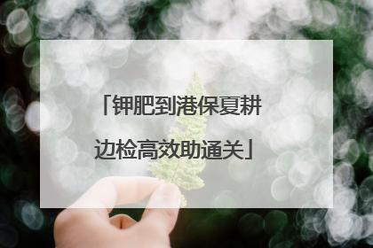 钾肥到港保夏耕 边检高效助通关