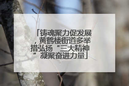 铸魂聚力促发展，黄鹤楼街道多举措弘扬“三大精神”凝聚奋进力量