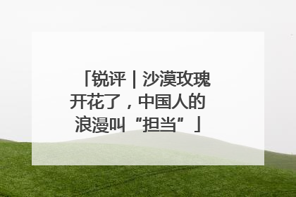 锐评｜沙漠玫瑰开花了，中国人的浪漫叫“担当”