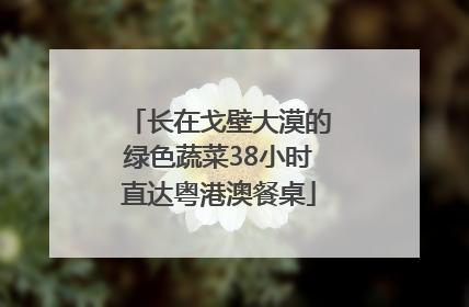 长在戈壁大漠的绿色蔬菜38小时直达粤港澳餐桌