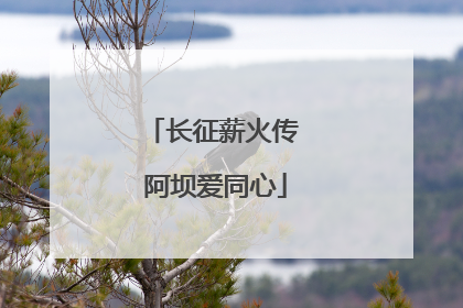 长征薪火传 阿坝爱同心