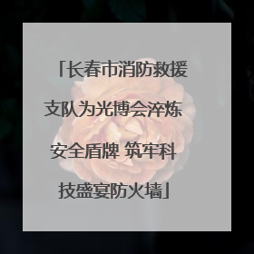 长春市消防救援支队为光博会淬炼安全盾牌 筑牢科技盛宴防火墙