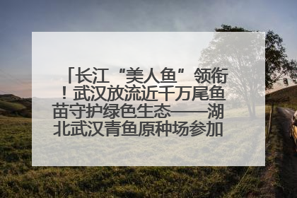 长江“美人鱼”领衔！武汉放流近千万尾鱼苗守护绿色生态——湖北武汉青鱼原种场参加2025年“全国放鱼日”增殖放流活动