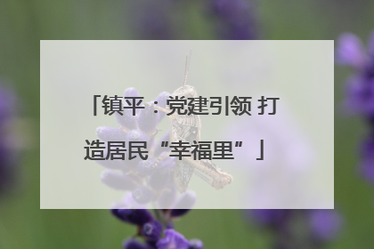 镇平：党建引领 打造居民“幸福里”