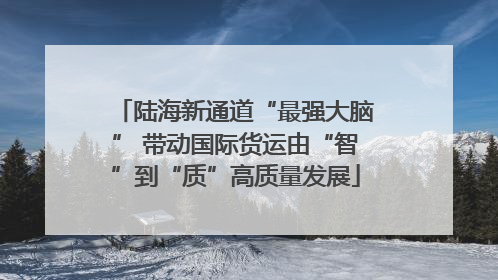 陆海新通道“最强大脑” 带动国际货运由“智”到“质”高质量发展