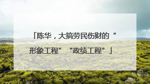 陈华，大搞劳民伤财的“形象工程”“政绩工程”