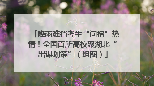 降雨难挡考生“问招”热情！全国百所高校聚湖北“出谋划策”（组图）