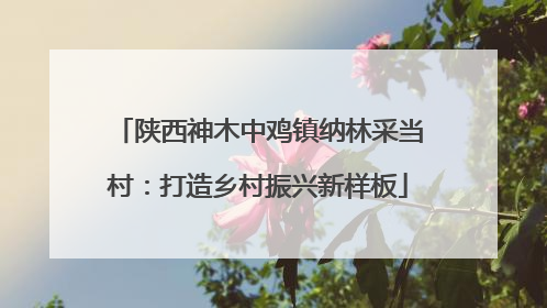 陕西神木中鸡镇纳林采当村：打造乡村振兴新样板