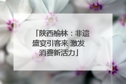 陕西榆林：非遗盛宴引客来 激发消费新活力