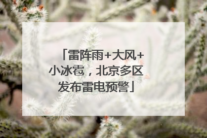 雷阵雨+大风+小冰雹，北京多区发布雷电预警