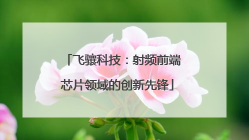 飞骧科技：射频前端芯片领域的创新先锋