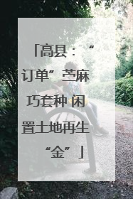 高县：“订单”苎麻巧套种 闲置土地再生“金”