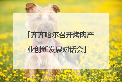 齐齐哈尔召开烤肉产业创新发展对话会