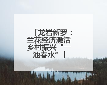 龙岩新罗：兰花经济激活乡村振兴“一池春水”