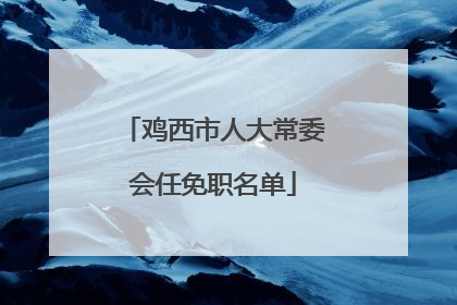 鸡西市人大常委会任免职名单