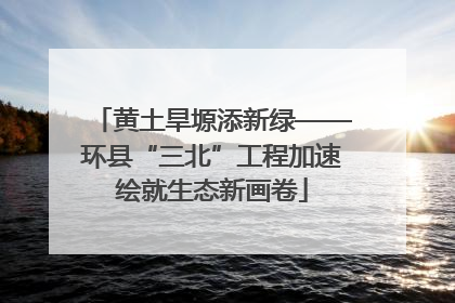 黄土旱塬添新绿——环县“三北”工程加速绘就生态新画卷